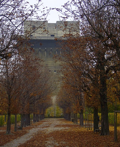 DSCF5384.JPG