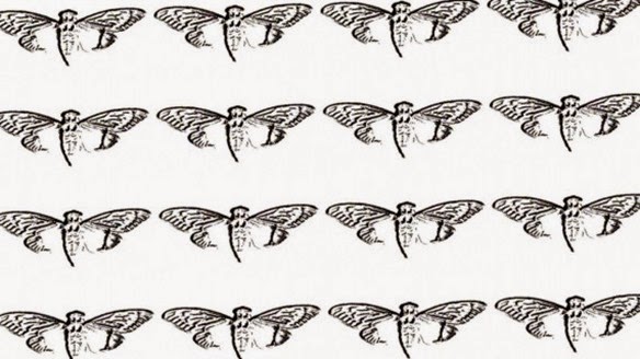 O enigma da Cigarra 3301 O enigma da Cigarra 3301