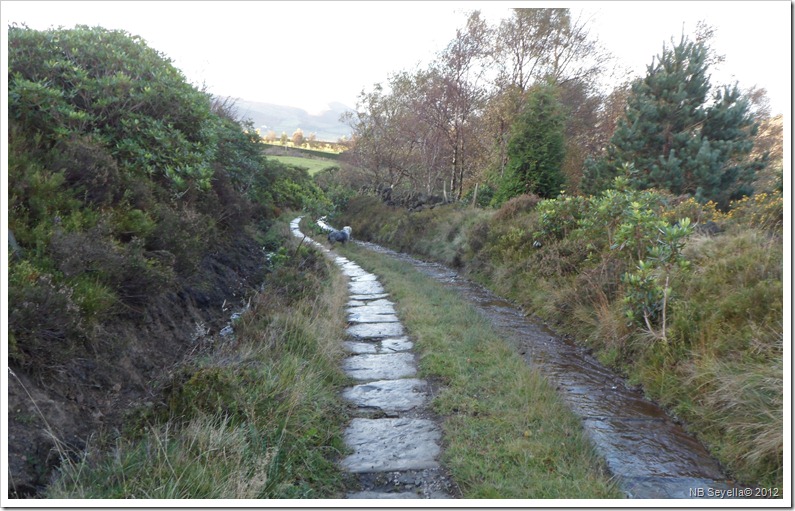 SAM_3988  Above Uppermill