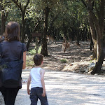 DSCF9446.JPG