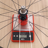 image13.jpg