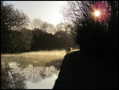 Morning Mist