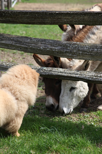 And you, too, Rufus.