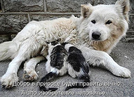 [fd217c2acc9563b5b7197228cce_prev%255B4%255D.jpg]