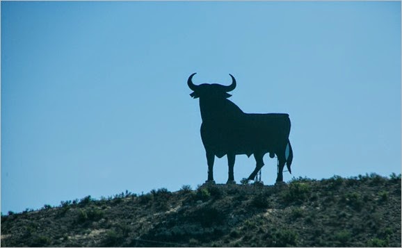 Bulls on hills