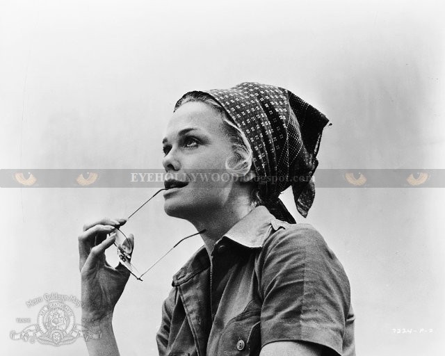 Lynn Borden 
