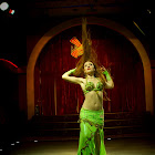 Document Name_3_142.JPG