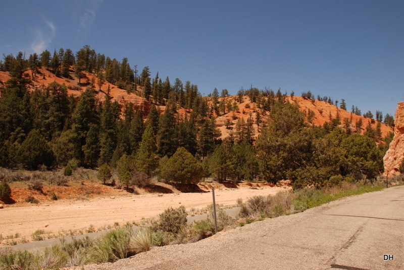 [05-24-13-A-Dixie-NF-Red-Canyon-Area-%255B12%255D.jpg]