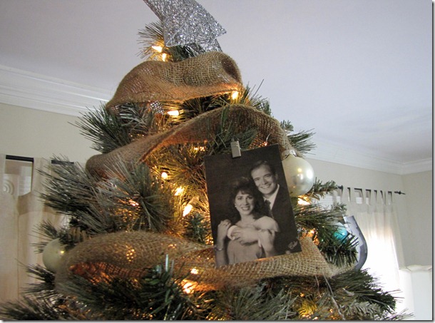 tree 3