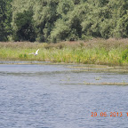 DSCN8214.JPG