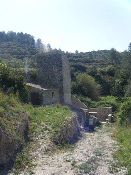 2013_04180056.jpg
