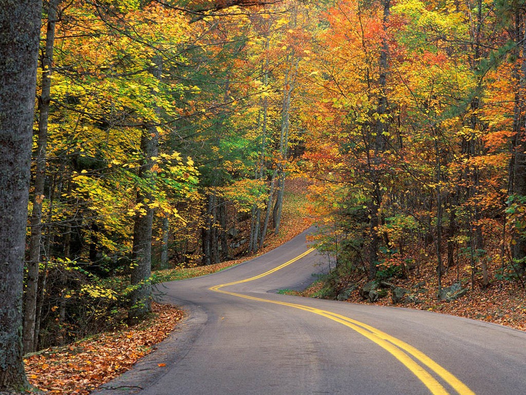 [Autumn%2520Colors%2520Road%255B130%255D.jpg]