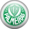Guaratinguetá x Palmeiras –acompanhe ao vivo pela intenet