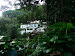 retreat building viewed from the jungle!