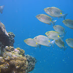 IMG_1685.JPG