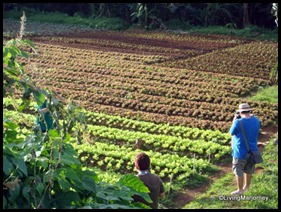 Costales Farm in Majayjay, Laguna (15)