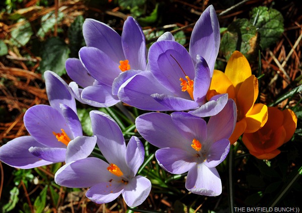 DSC_0001 DSC_0001