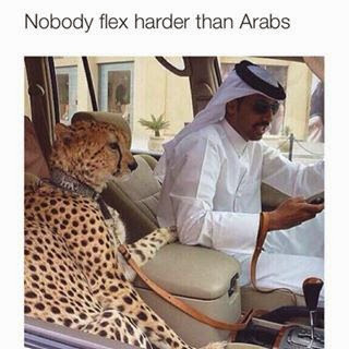 NOBODY FLEX HARDER THAN ARABS- FUNNY ARABS PICS | FUNNY INDIAN PICTURES