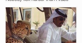 NOBODY FLEX HARDER THAN ARABS- FUNNY ARABS PICS | FUNNY INDIAN PICTURES