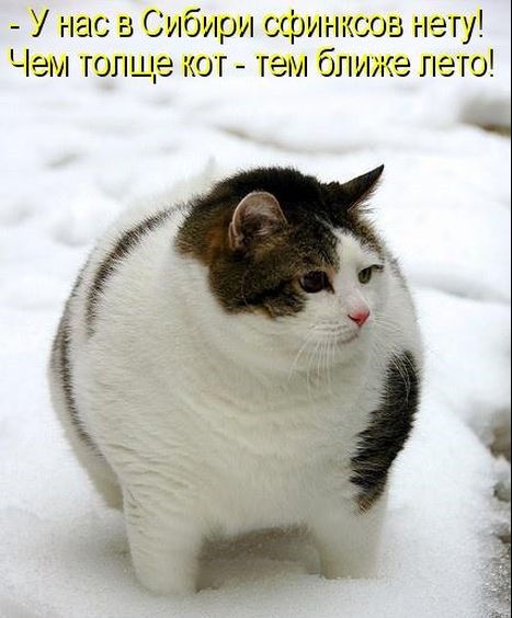 [5ba4c5bf1de7ba95386db4d97f2%255B5%255D.jpg]