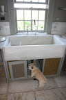 Plumbing With Sharkey