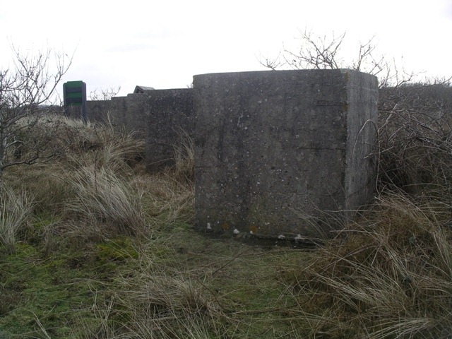 IMGP2127