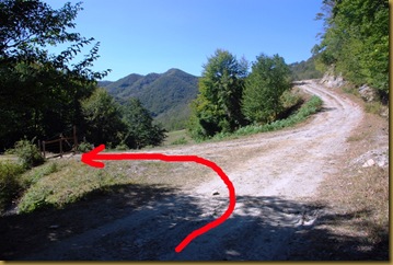 bivio