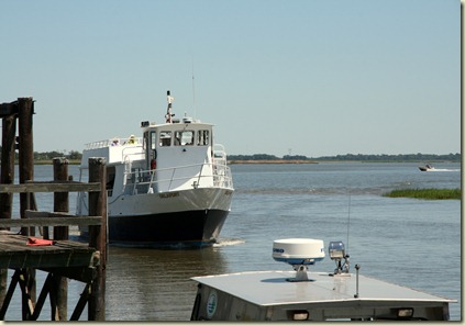 IMG_2434 IMG_2434