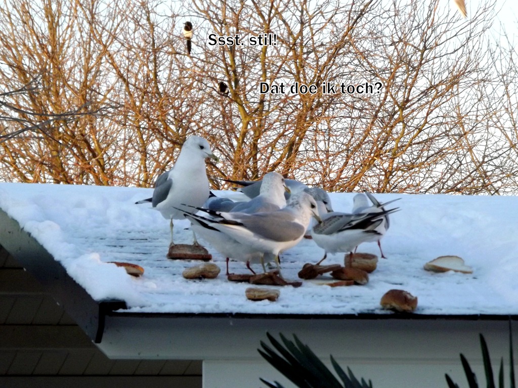[februari%25202012%2520011%255B11%255D.jpg]