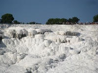 IMG_1188 IMG_1188