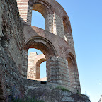 DSC_9319.jpg