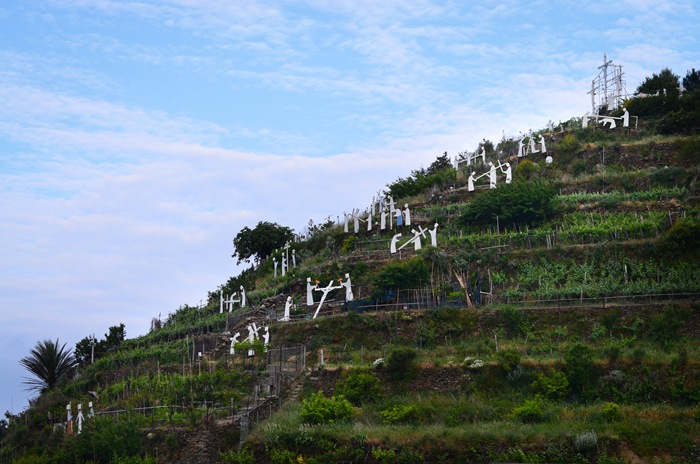 [Saturdaymorningvineyards2.jpg]