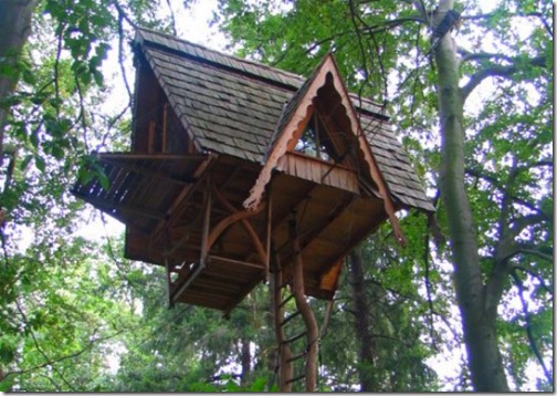treehouse