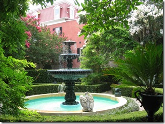 IMG_5490 IMG_5490