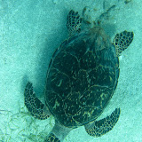 IMG_1575.jpg