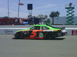 IMG00185-20100619-1138.jpg