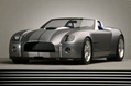 Shelby-Caroll-48