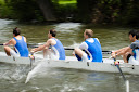 D2X_4106.jpg