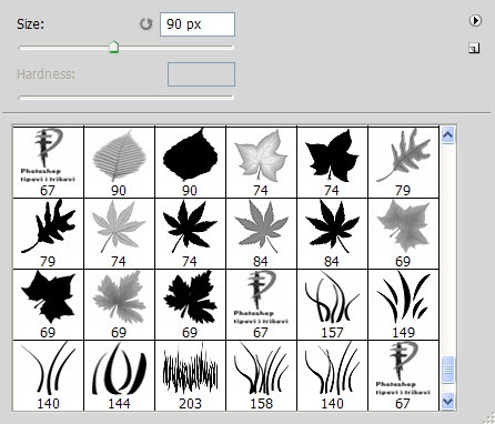 Četkice za crtanje trave i lista u Adobe Photoshop i Adobe Photoshop Elements Četkice za crtanje trave i lista u Adobe Photoshop i Adobe Photoshop Elements