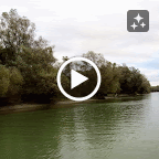 IMG_3060-MOTION.gif