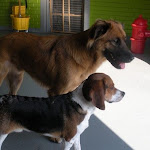 DSCN2527.jpg