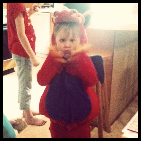 [photo%2520%25286%2529%255B3%255D.jpg]