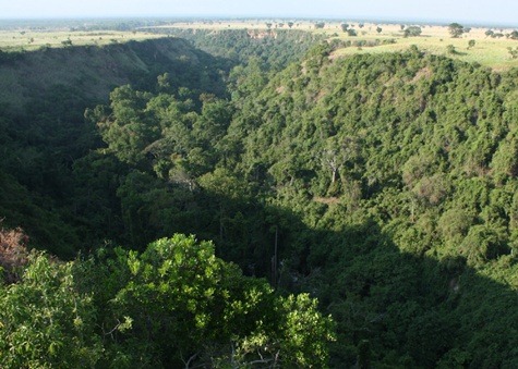 [Kyambura%2520gorge%2520forest%2520%255B2%255D.jpg]