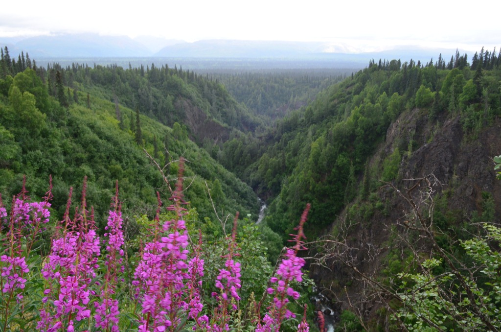 [Parks-HWY-Day-18_21794.jpg]