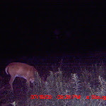 MDGC0264.JPG
