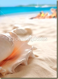 dep_1858899-Shell-on-the-beach