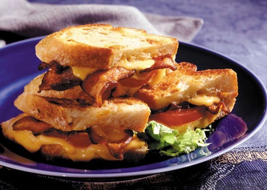[grilled-cheese-food-pron-10%255B2%255D.jpg]