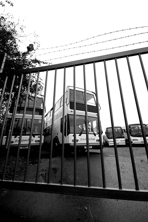 [Bus-Pound%255B3%255D.jpg]