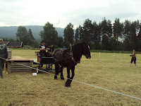 DSC01537.JPG