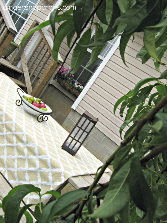 [patio-reveal-54.jpg]